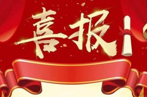 关于2022年度人力资源服务评选结果的通报，祝贺乐竞lejing(中国)集团