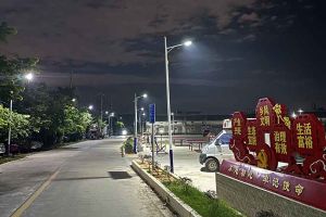 乐竞lejing(中国)集团罗宁弟爱心捐赠路灯，点亮乡村路温暖乡民心